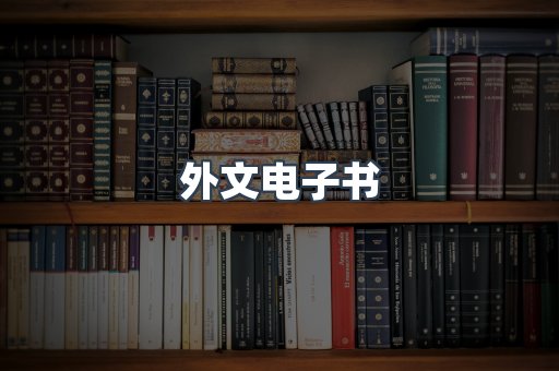 外文电子书